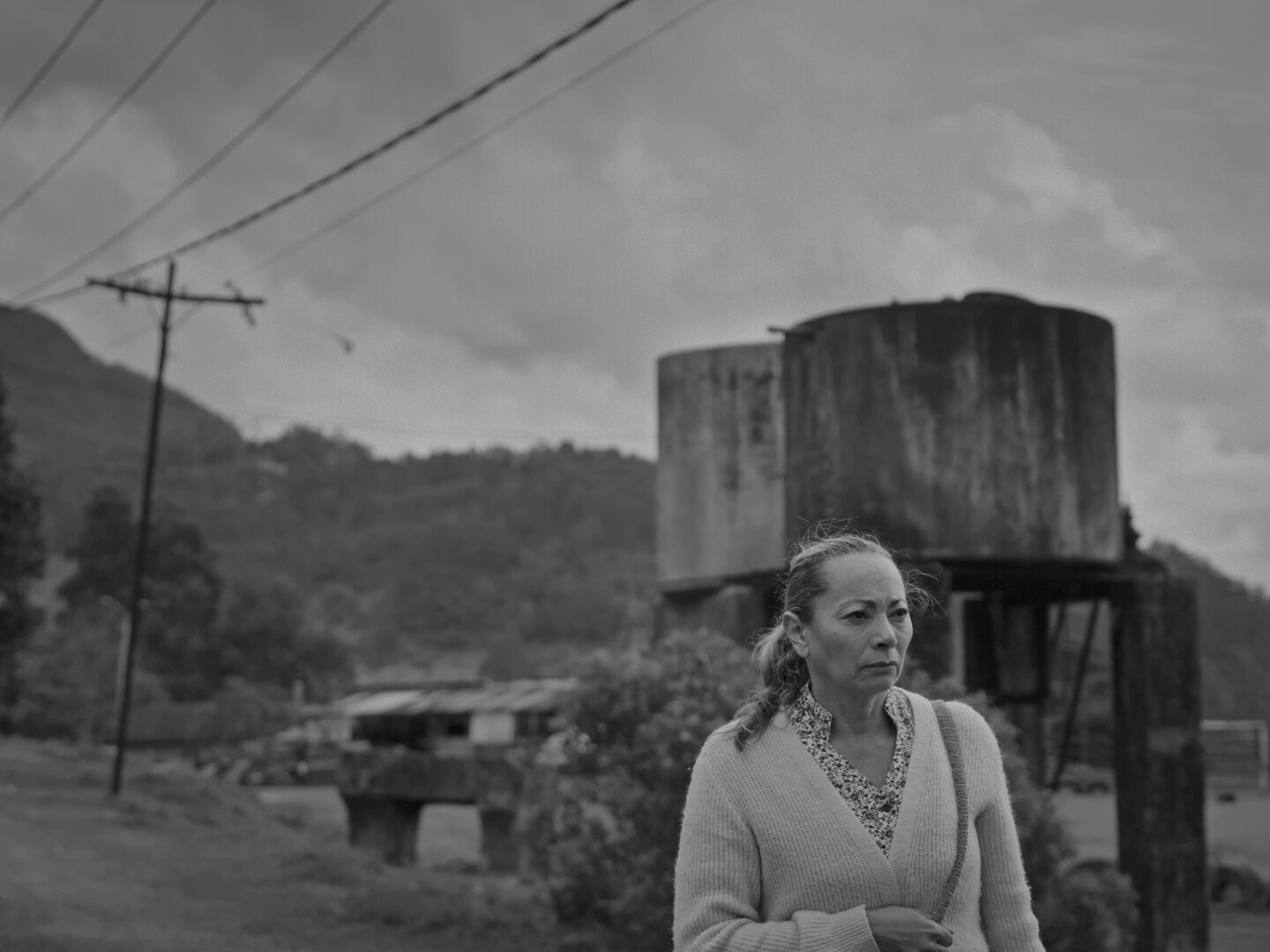 Yolanda Camina Sola